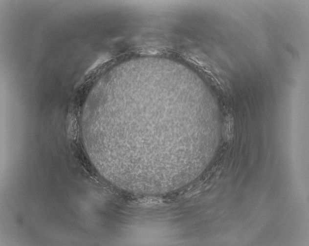 X0000115431446200912020914