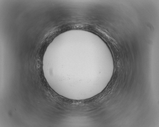 X0000115431447200912020914