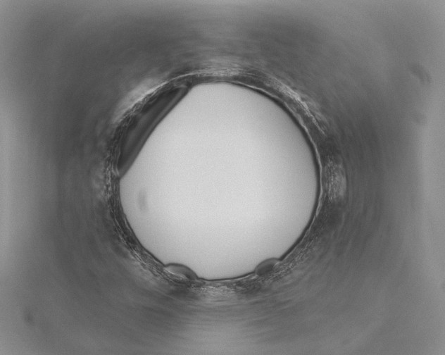 X0000115431448200912020914