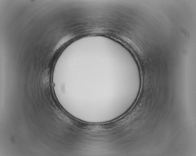 X0000115431450200912020914