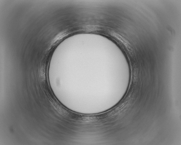 X0000115431451200912020914