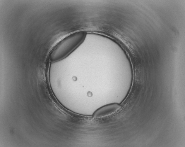 X0000115431452200912020914