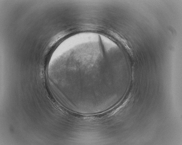 X0000115431453200912020914