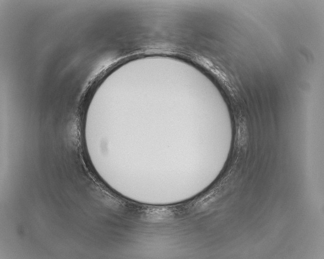 X0000115431454200912020914