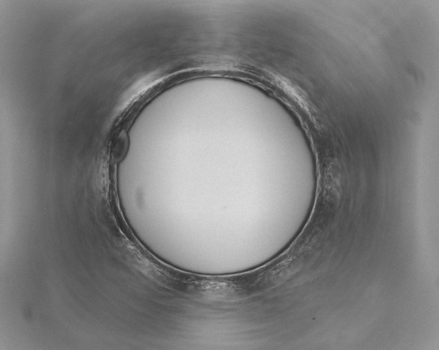 X0000115431456200912020914