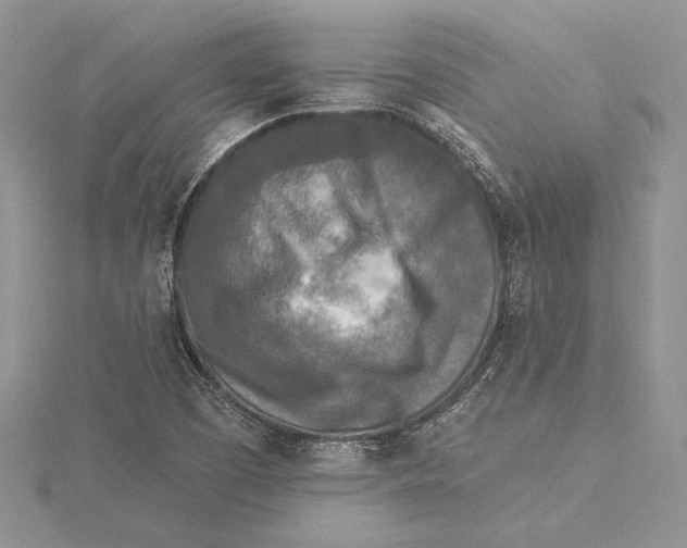 X0000115431457200912020914