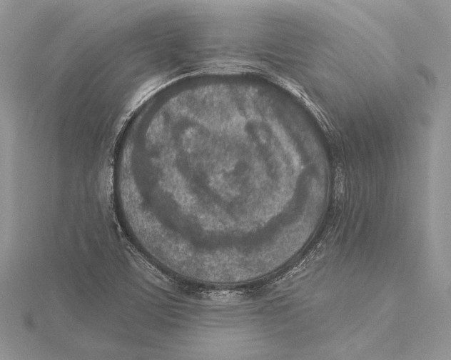 X0000115431459200912020914