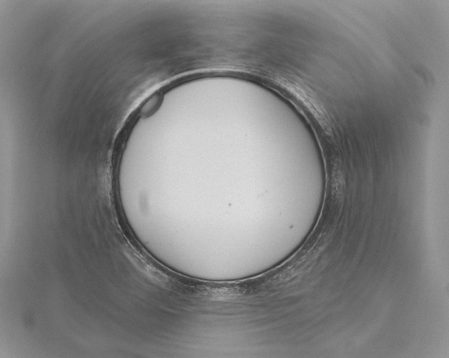 X0000115431460200912020914