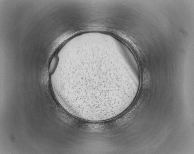 X0000115431461200912020914