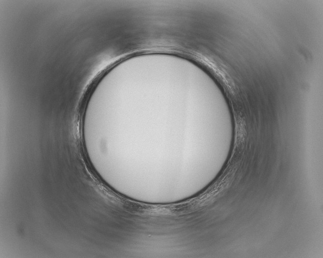 X0000115431462200912020914