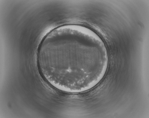 X0000115431463200912020914