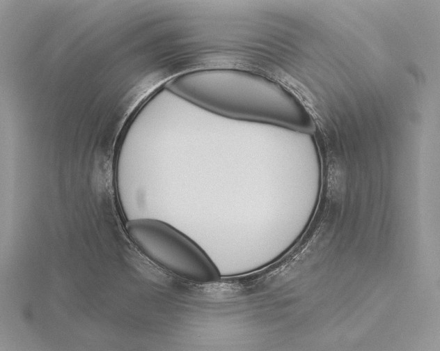 X0000115431465200912020914