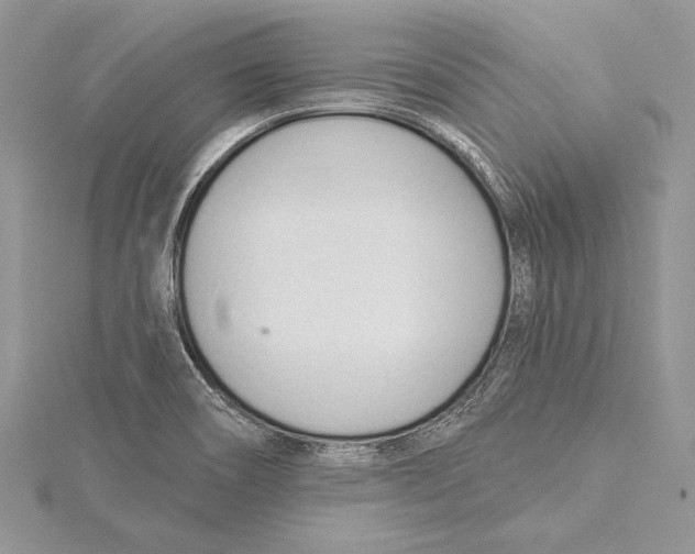 X0000115431466200912020914