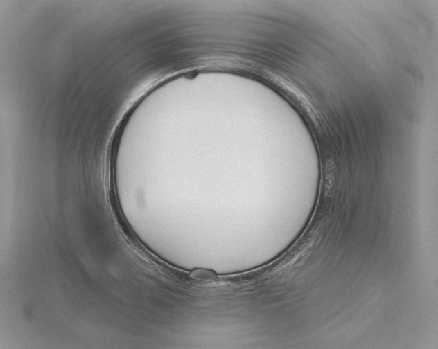 X0000115431467200912020914