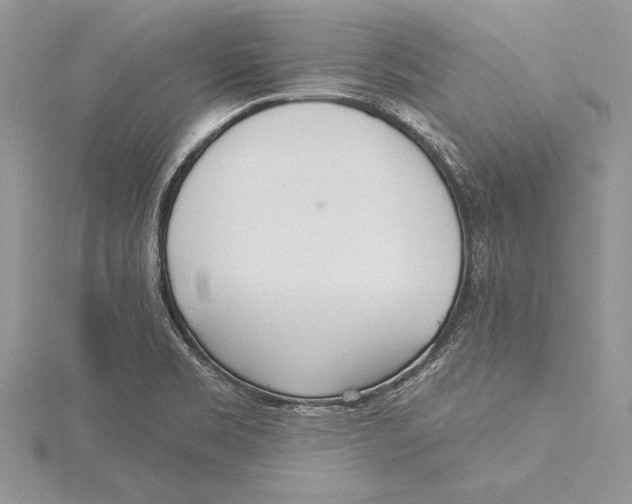 X0000115431469200912020914