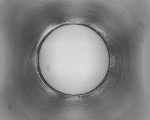 X0000115431470200912020914