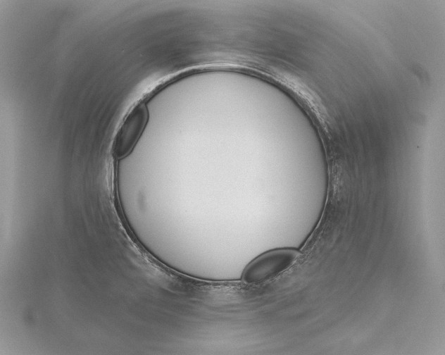 X0000115431472200912020914