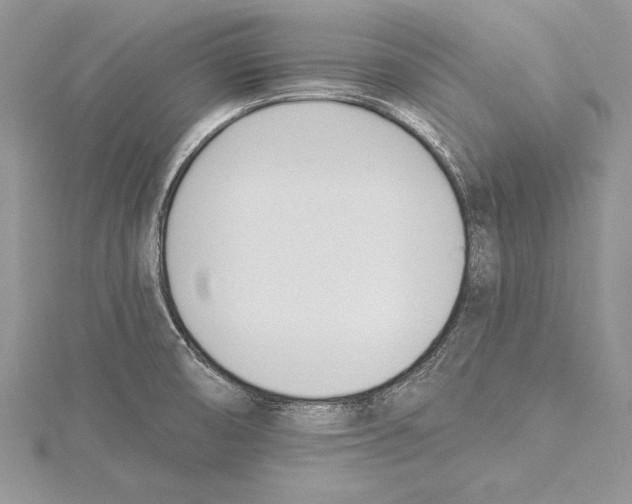 X0000115431474200912020914