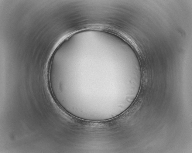 X0000115431475200912020914