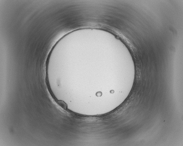 X0000115431479200912020914