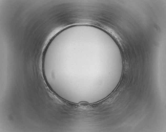 X0000115431480200912020914