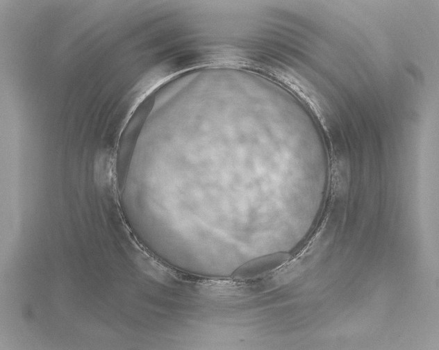 X0000115431481200912020914