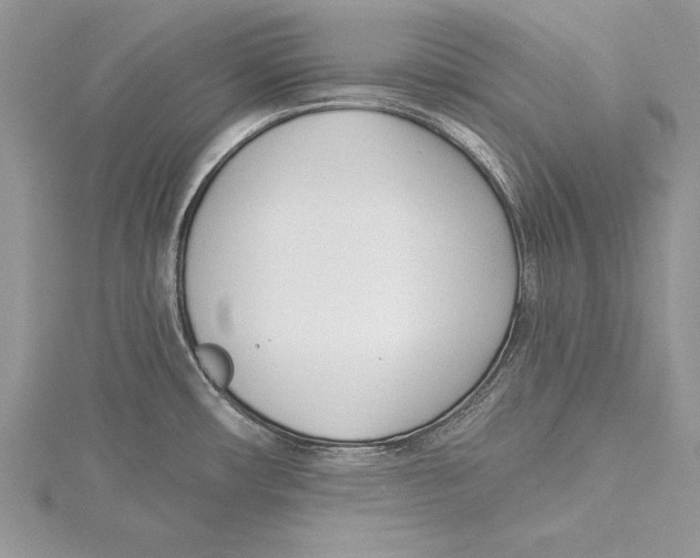 X0000115431482200912020914