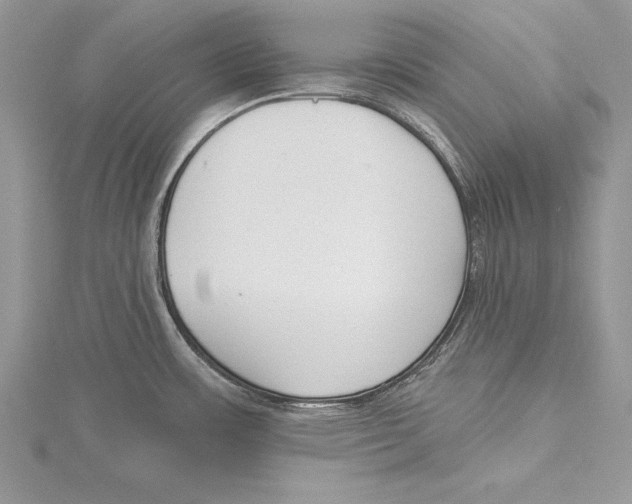 X0000115431483200912020914