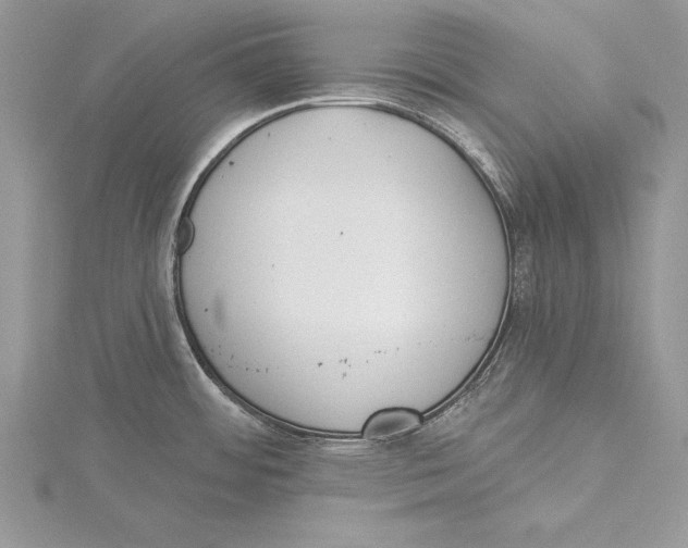 X0000115431484200912020914