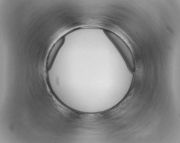 X0000115431485200912020914