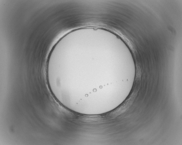 X0000115431486200912020914