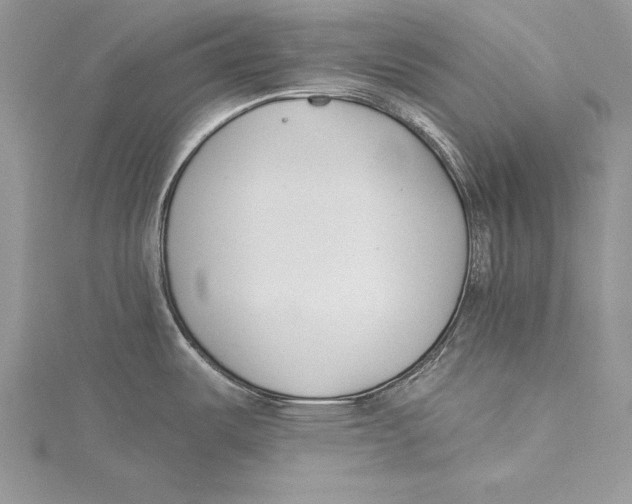 X0000115431487200912020914