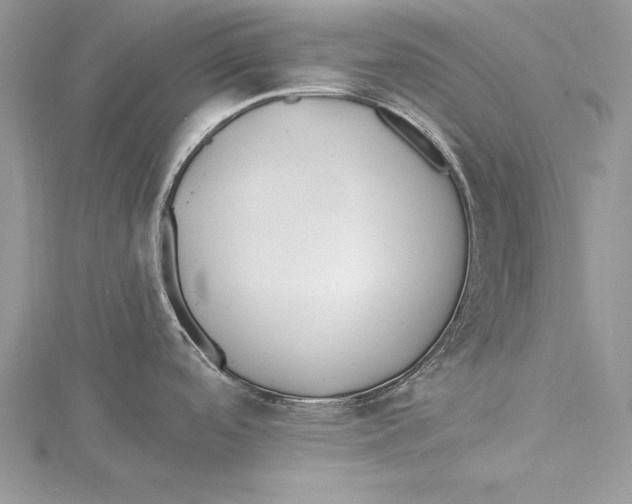 X0000115431488200912020914