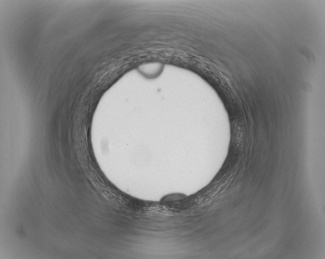 X0000115431489200912020913