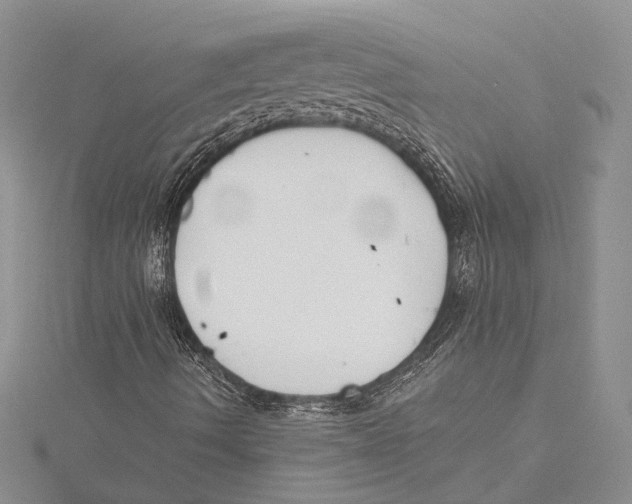 X0000115431490200912020913