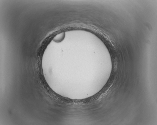 X0000115431494200912020913