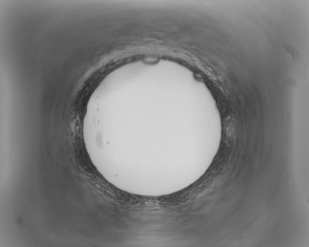 X0000115431495200912020913