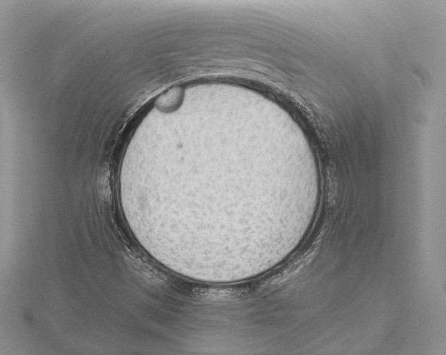 X0000115431497200912020913