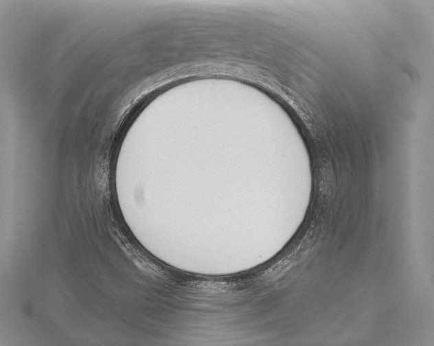 X0000115431499200912020913