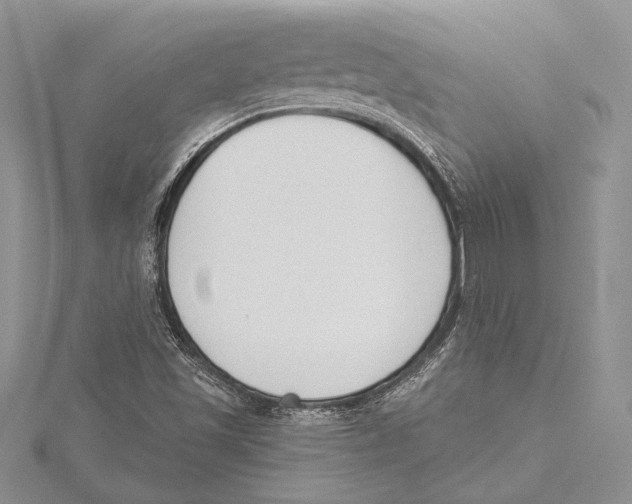 X0000115431501200912020913