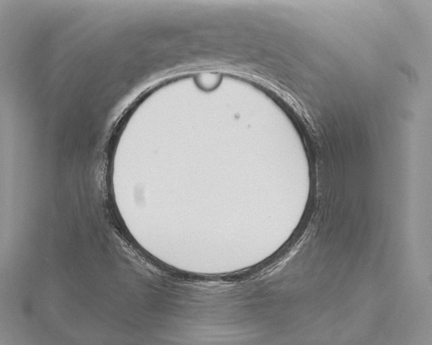 X0000115431502200912020913