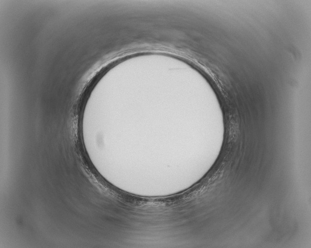 X0000115431503200912020913