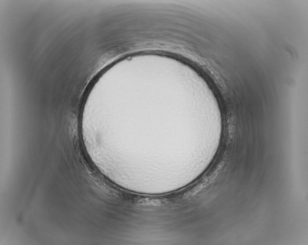 X0000115431505200912020913