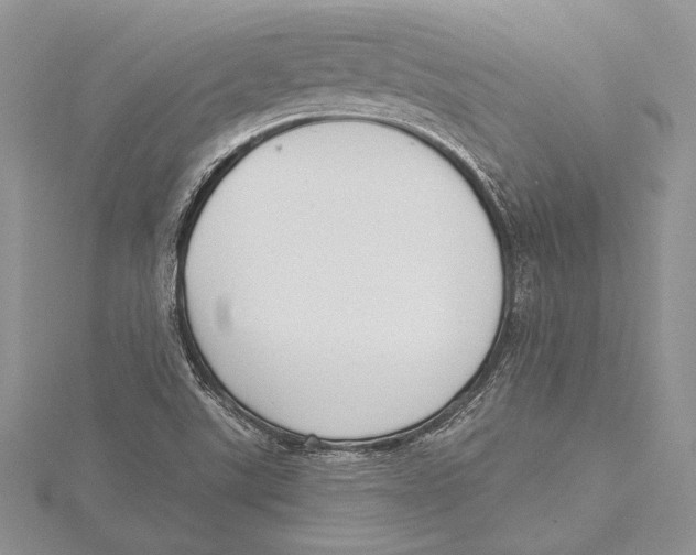 X0000115431507200912020913