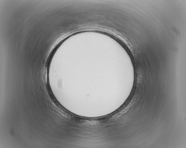 X0000115431509200912020913