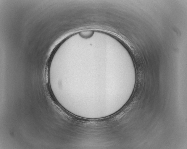 X0000115431510200912020913