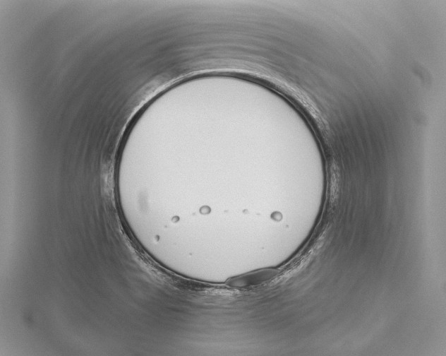 X0000115431513200912020914