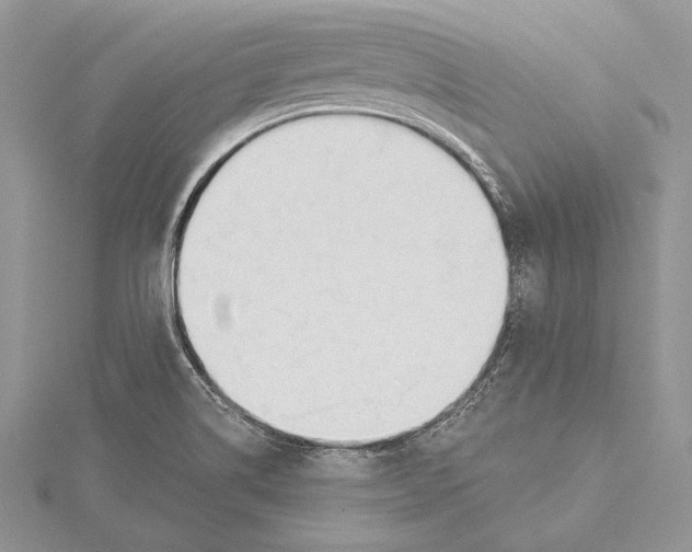 X0000115431514200912020914