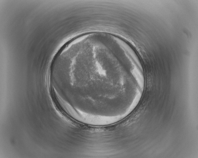 X0000115431515200912020914