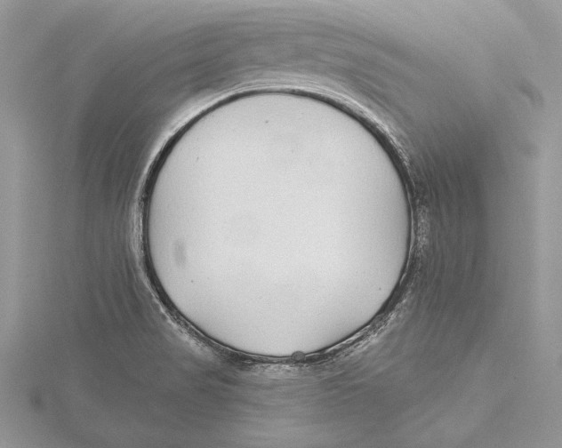 X0000115431517200912020914